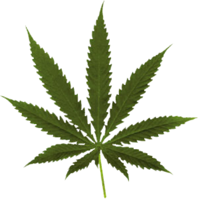 Pot